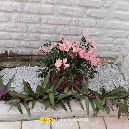 Pousada Sol Nascente Beberibe Dış mekan fotoğraf