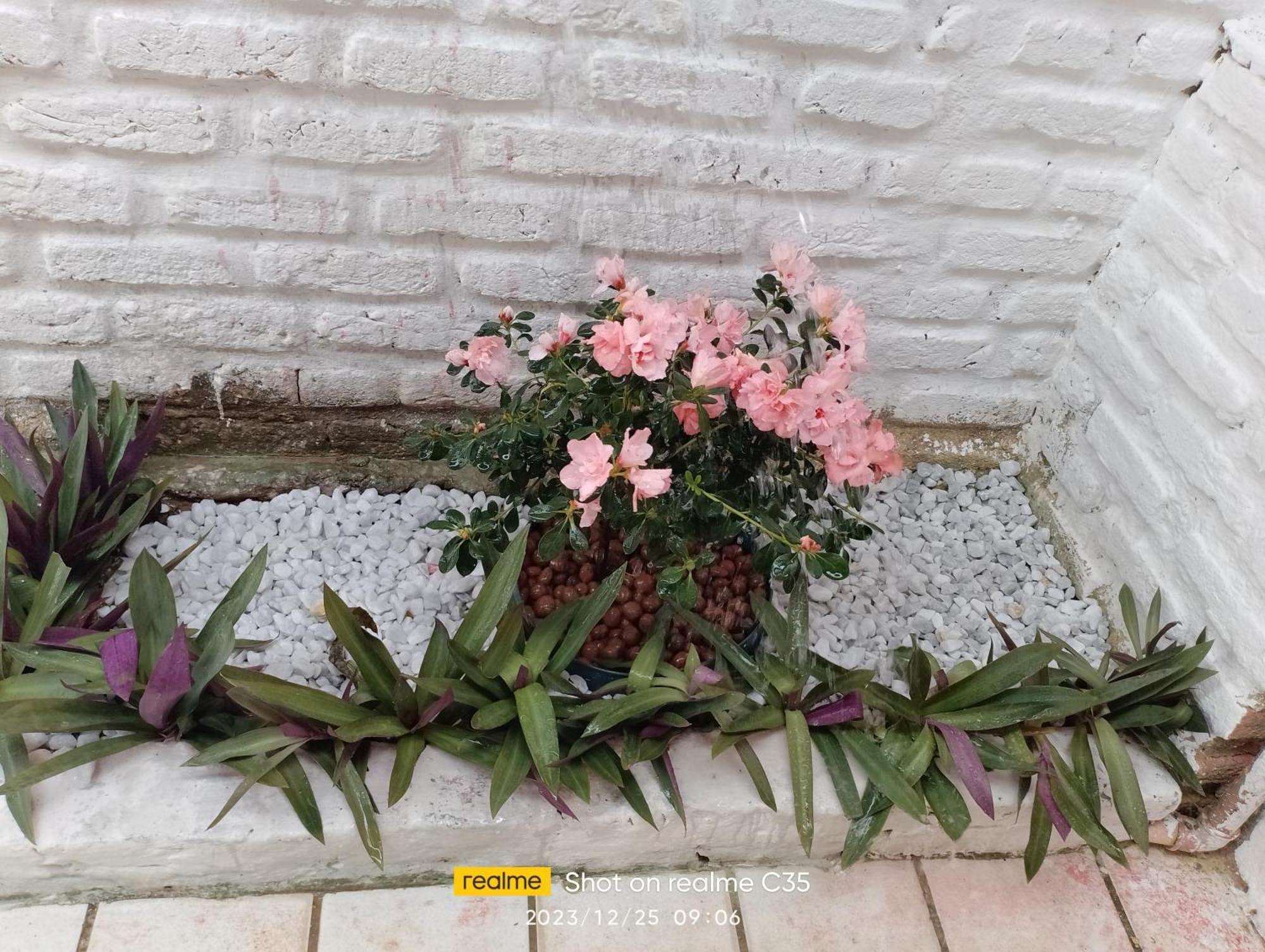 Pousada Sol Nascente Beberibe Dış mekan fotoğraf